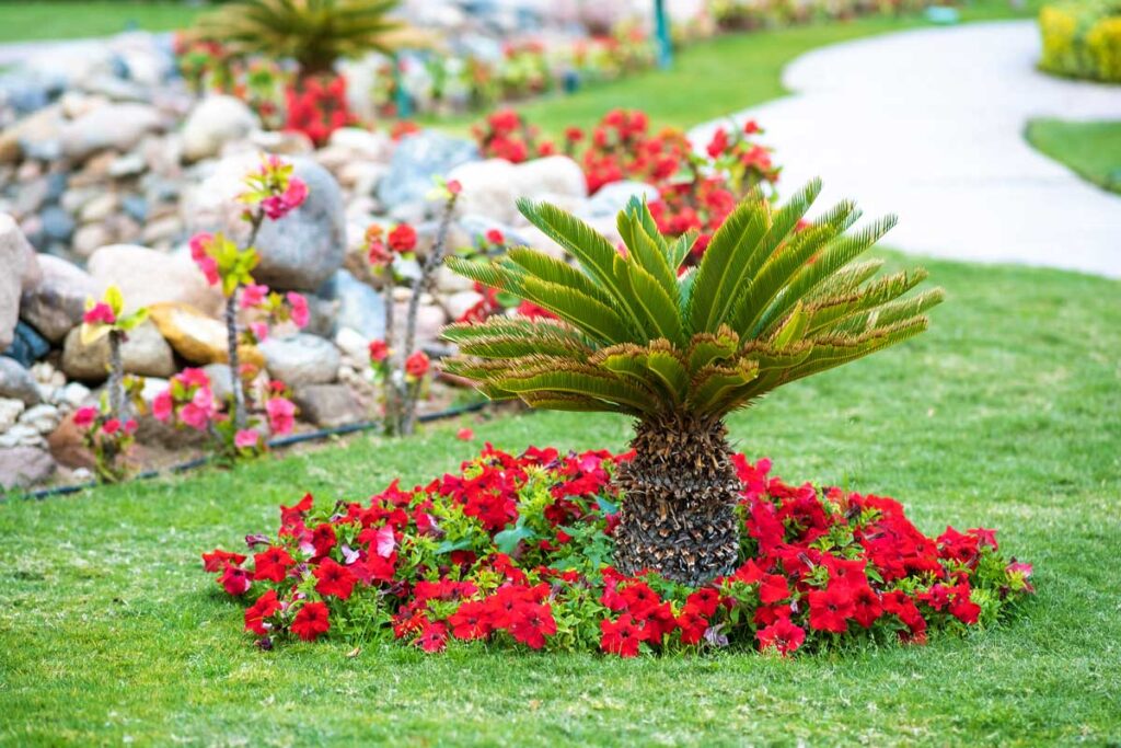 Beautiful yard landscaping mistakes and best practices