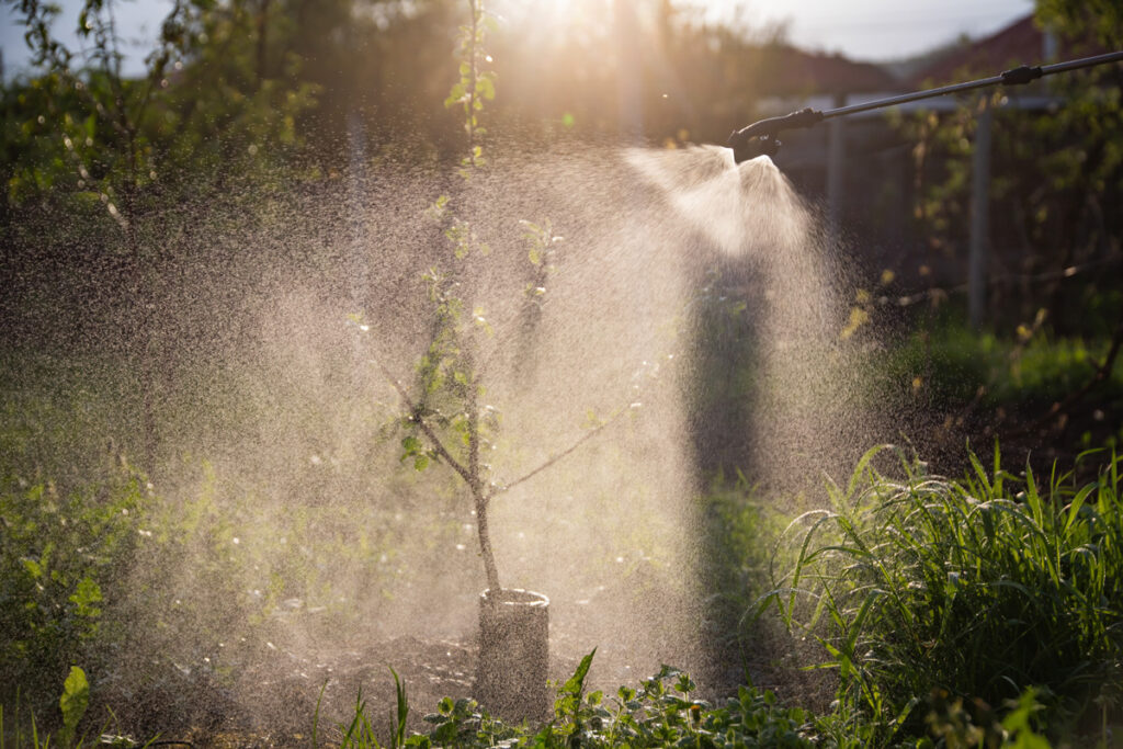 gardening tips for thriving gardens | Proper watering technique for healthy garden plants