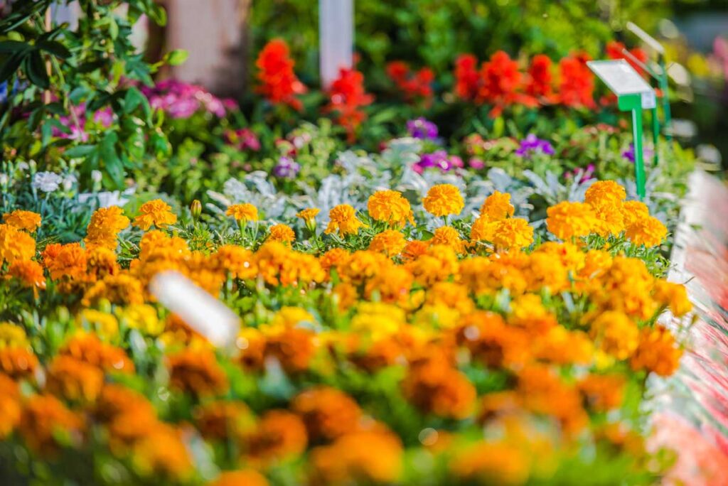 landscaping ideas to boost curb appeal | Colorful flower bed ideas to boost curb appeal