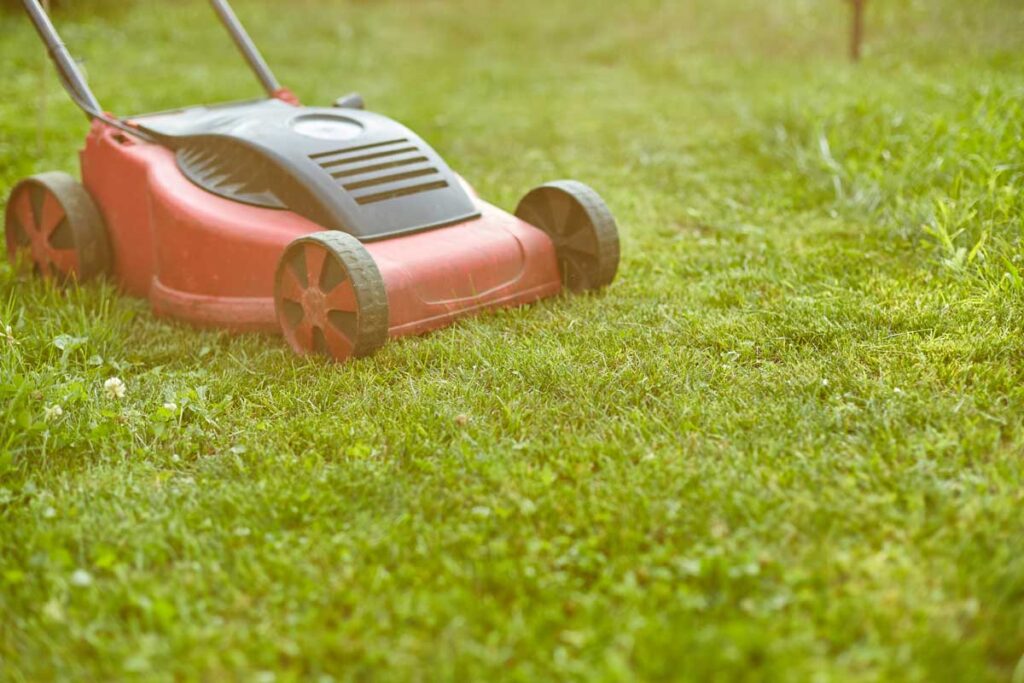 landscaping ideas to boost curb appeal | Lawn care services to boost curb appeal