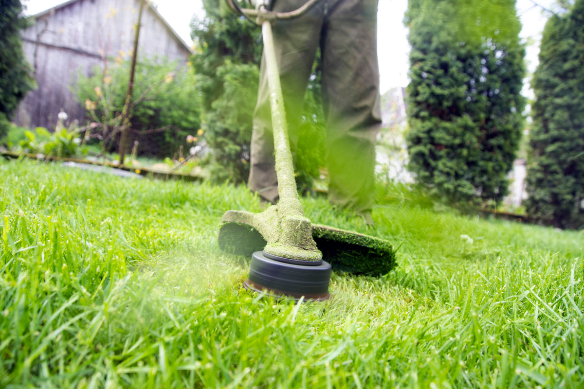 landscaping services in North Port FL | Lawn care services in North Port Florida