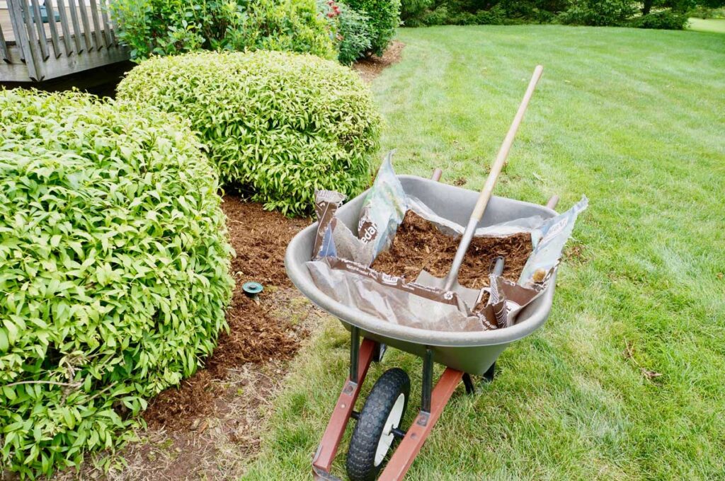 Applying mulch in flower beds as part of landscaping maintenance tips
