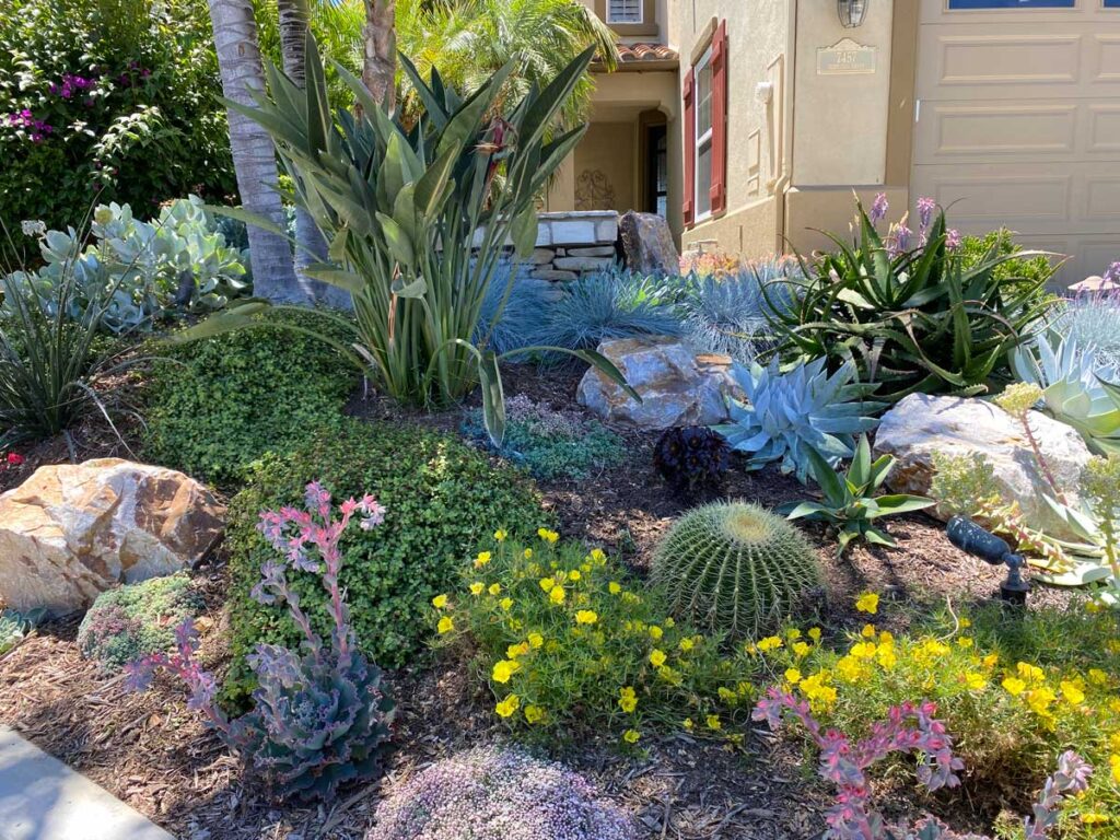 low-maintenance landscaping ideas | Rock garden with drought-tolerant plants