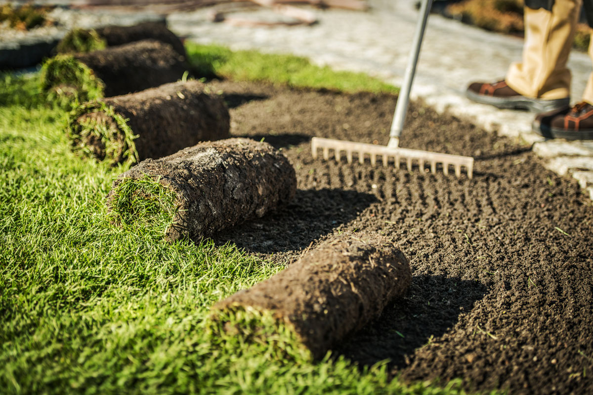 landscaping services in North Port FL | Sod installation in North Port FL