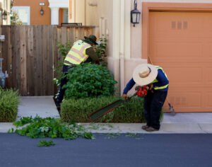 landscape maintenance services in Port Charlotte FL