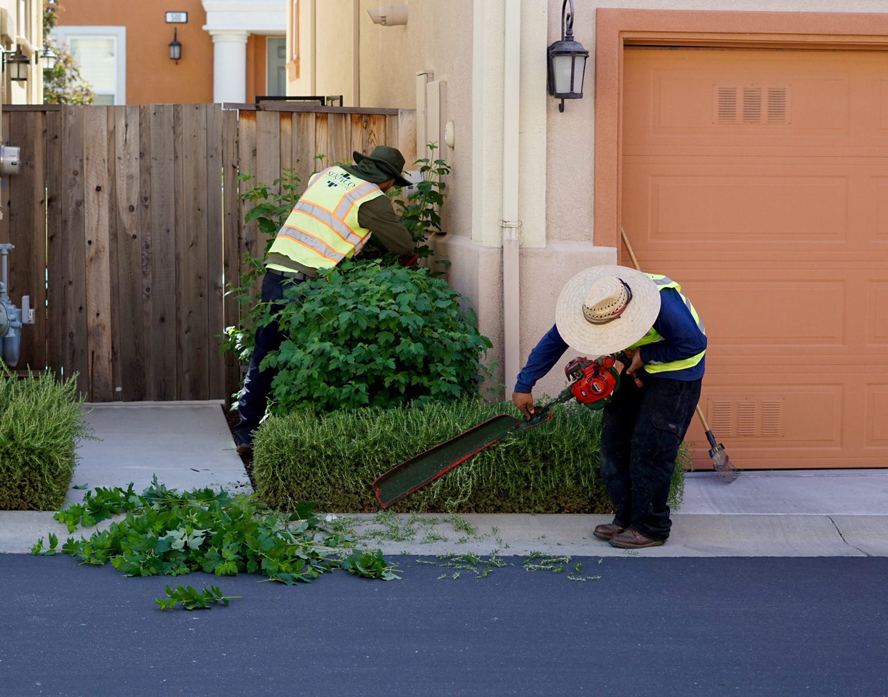 landscape maintenance services in Port Charlotte FL