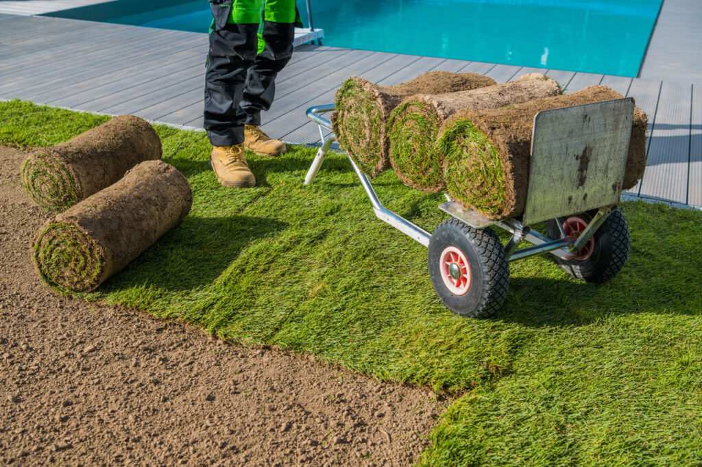 Bahia sod installation – best sod for affordable Florida properties