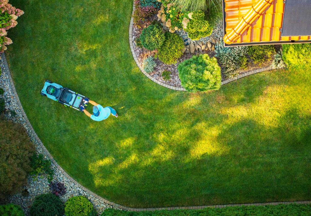 proper mowing techniques for healthy grass