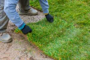 St. Augustine grass installation – best sod for your Florida property