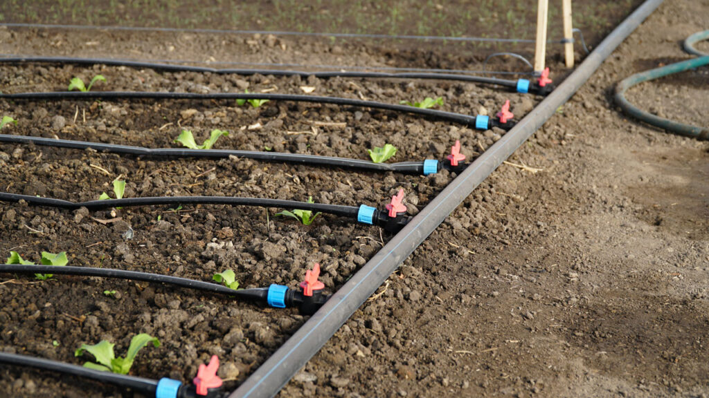 irrigation system benefits for landscape beds