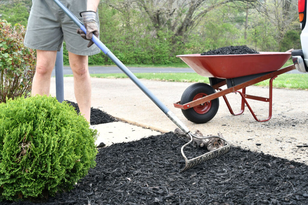 mulching benefits for improving soil health