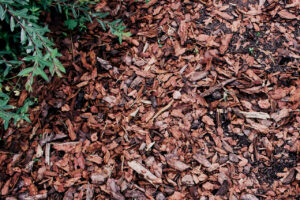 mulching benefits for landscapes in Port Charlotte FL