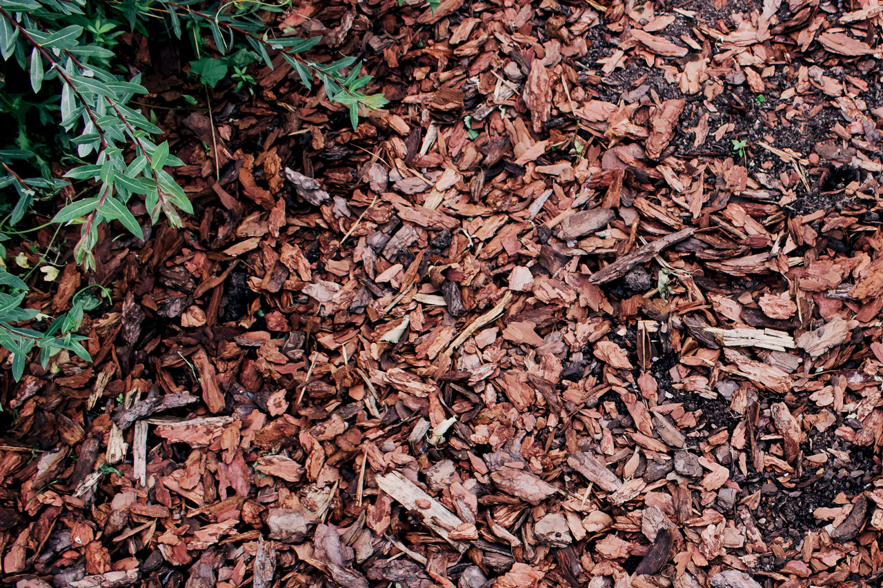 mulching benefits for landscapes in Port Charlotte FL