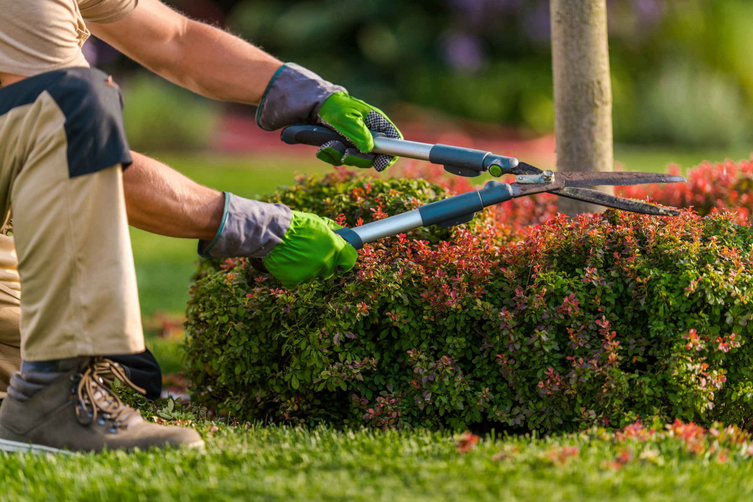 landscaping services in Port Charlotte FL for routine landscape maintenance