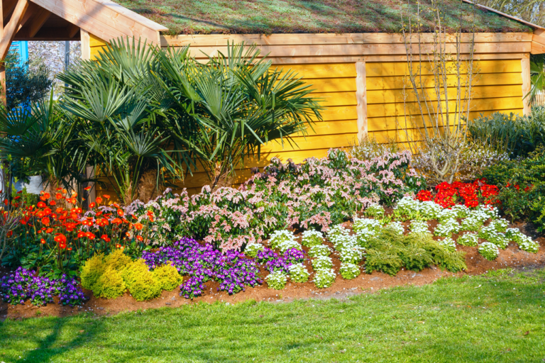 Professional landscaping services in Port Charlotte FL for year-round lawn and yard care