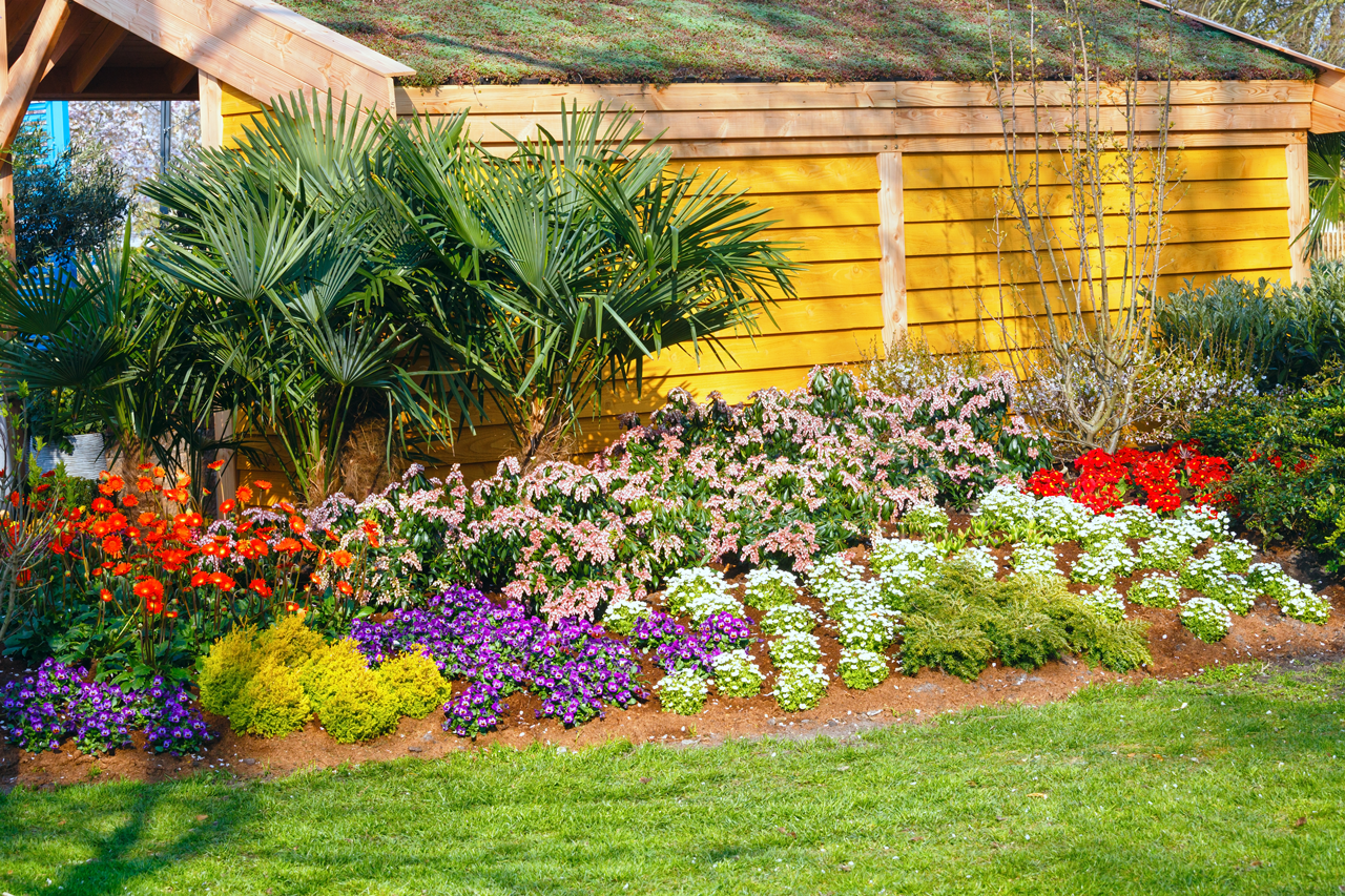 Professional landscaping services in Port Charlotte FL for year-round lawn and yard care