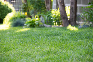 Spring landscaping services in Port Charlotte FL for healthy lawns