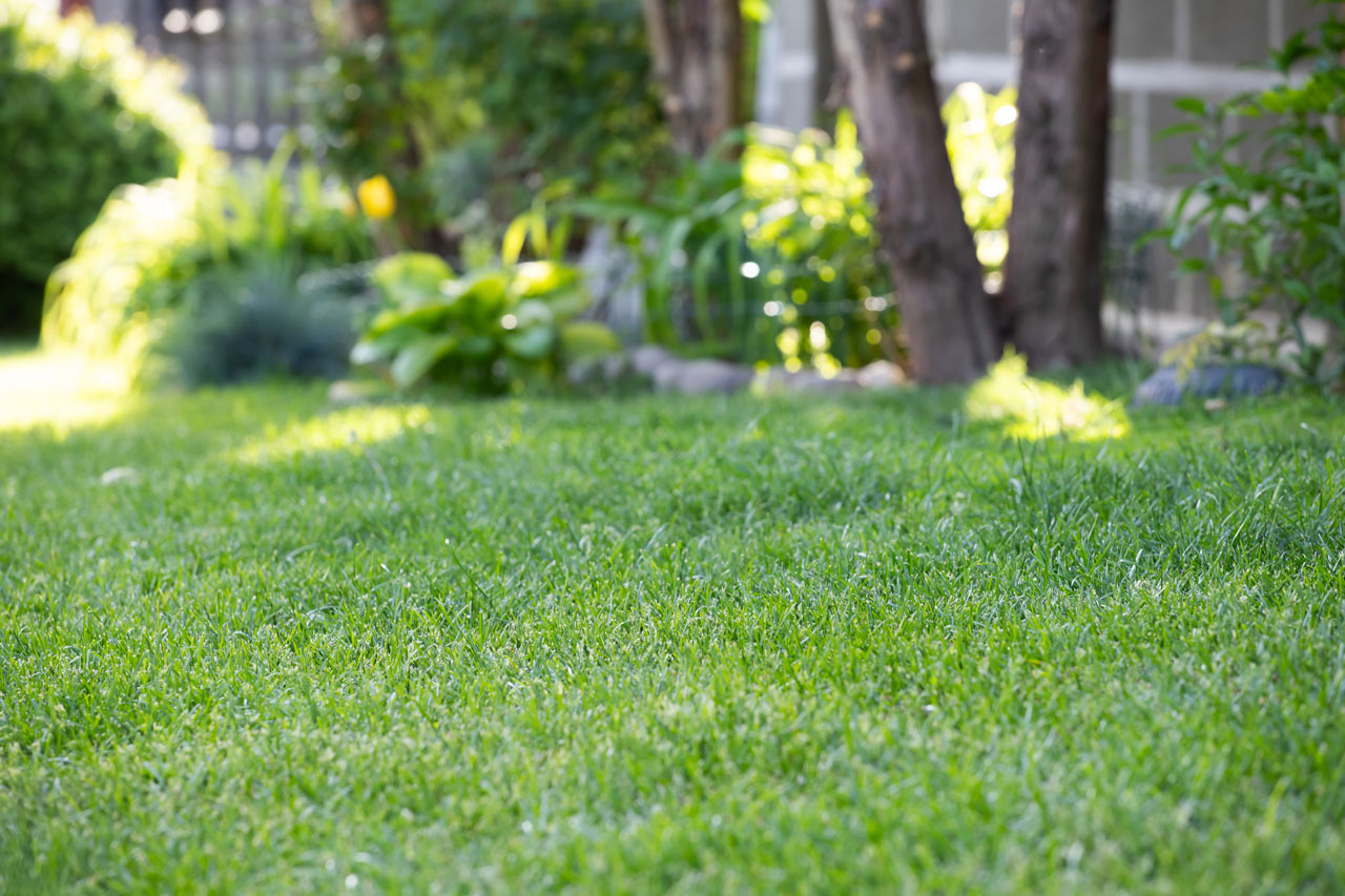Spring landscaping services in Port Charlotte FL for healthy lawns