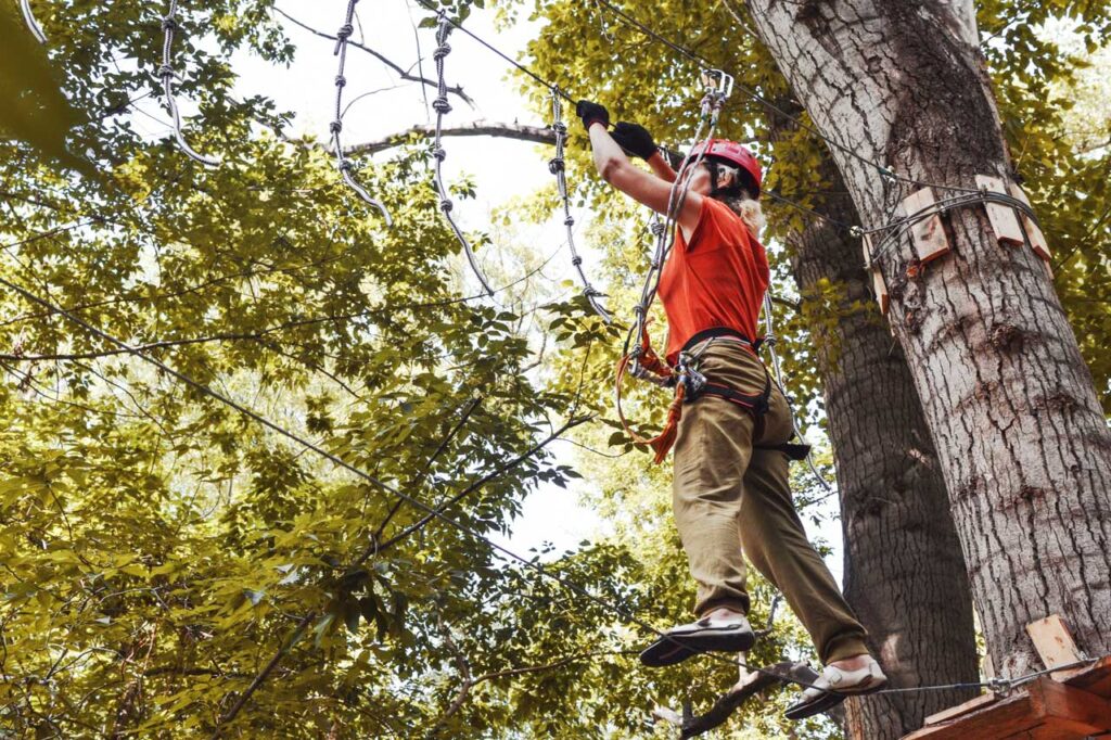 Port Charlotte landscaping company performing tree pruning