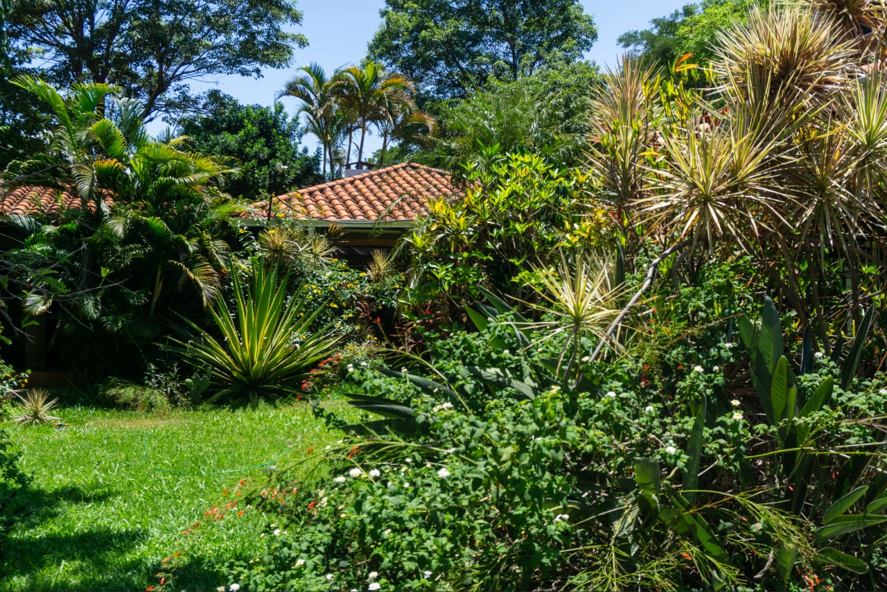 Florida Native Plants North Port FL | Florida native plants in a professionally designed residential landscape in North Port FL