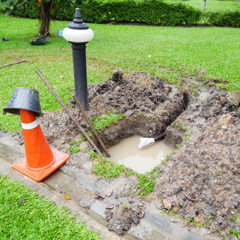 Lawn drainage problems causing standing water in a North Port FL yard