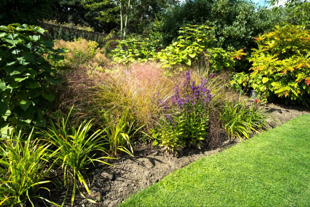 Florida native plants North Port FL | Professionally designed Florida native landscape featuring ornamental grasses, flowering plants, and shade trees