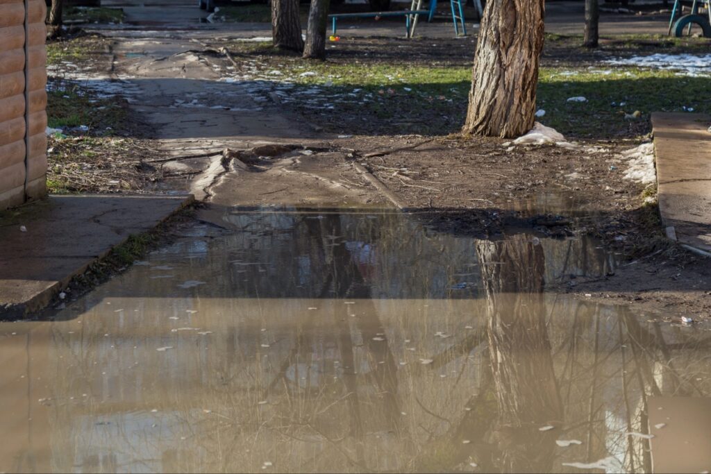 Standing water collecting in a residential lawn after heavy rain