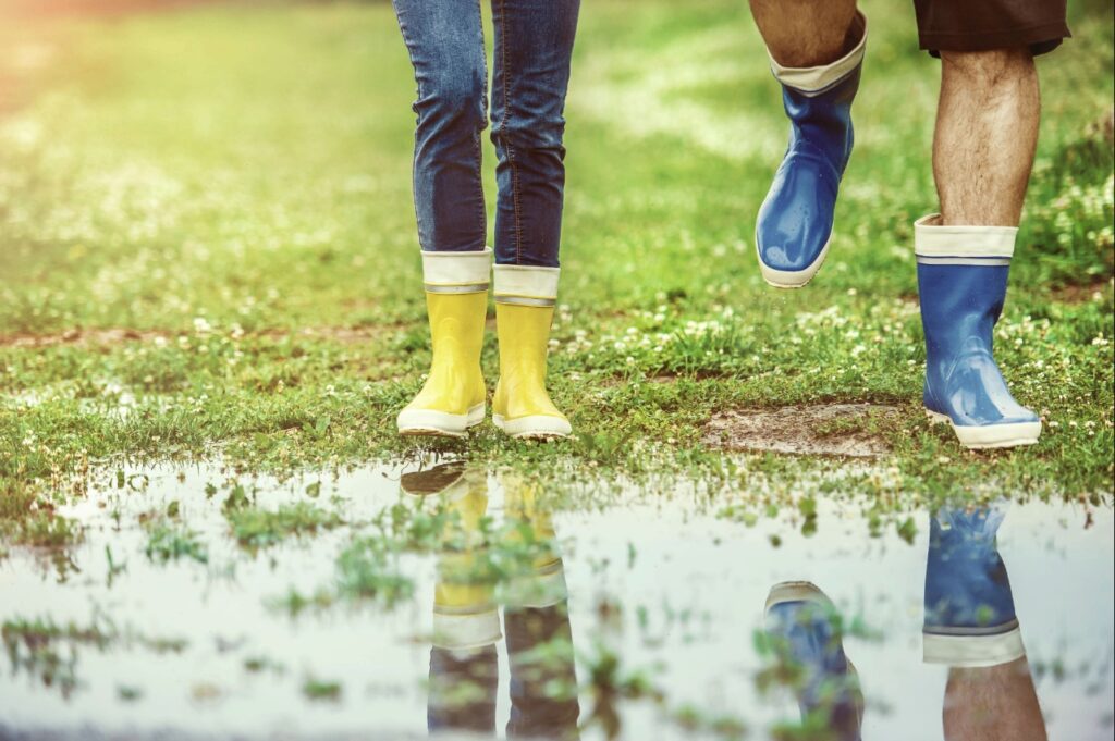 lawn aeration North Port FL | Standing water on a compacted lawn after heavy rainfall