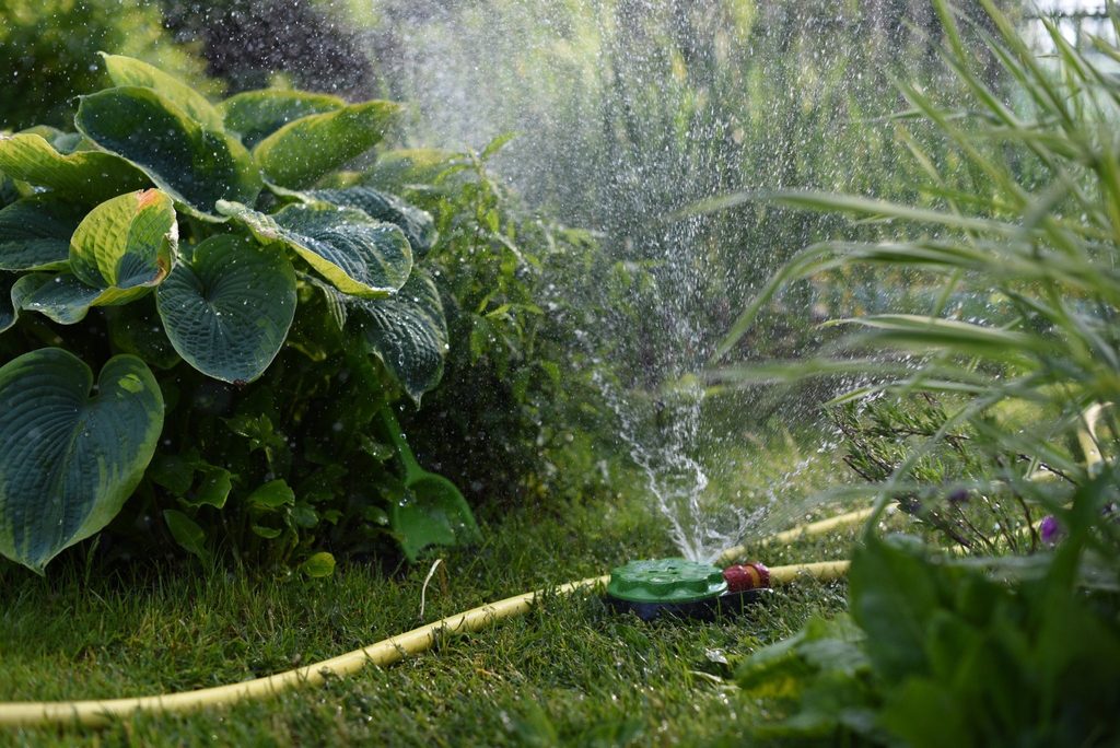 Irrigation dry spots North Port FL caused by landscaping interfering with sprinkler coverage