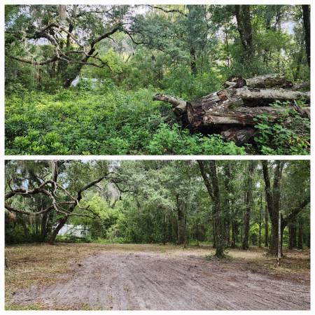 Forestry mulching vs lot clearing North Port comparison showing selective vegetation management and open land
