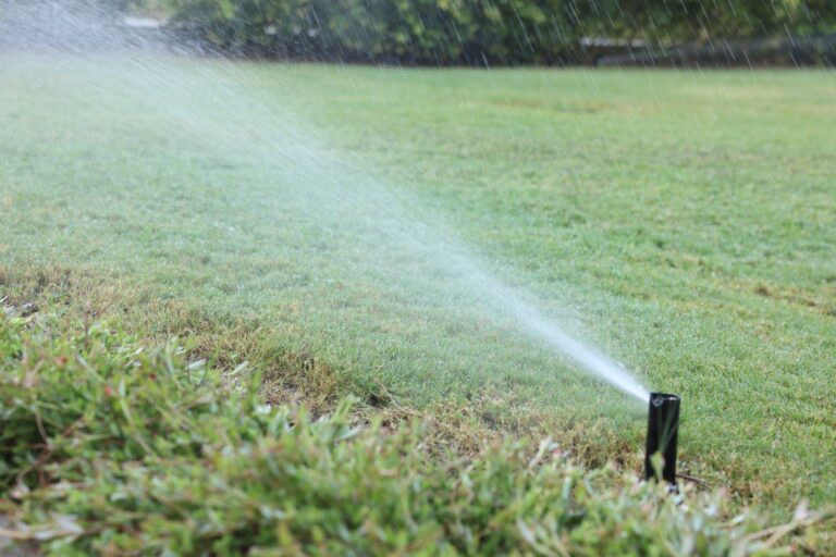 Irrigation dry spots North Port FL lawn with sprinkler running beside a dry patch