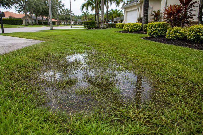 Residential landscape bed showing water accumulation near edging after rainfall in North Port