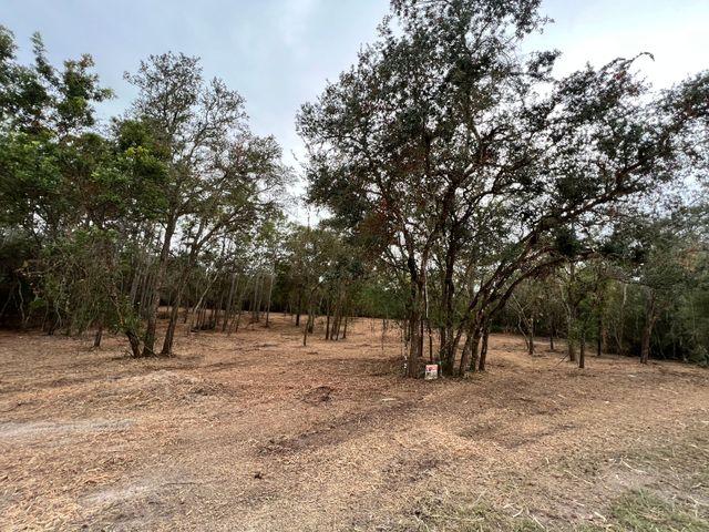 Residential lot clearing in North Port showing vegetation removal and land opened for future improvements