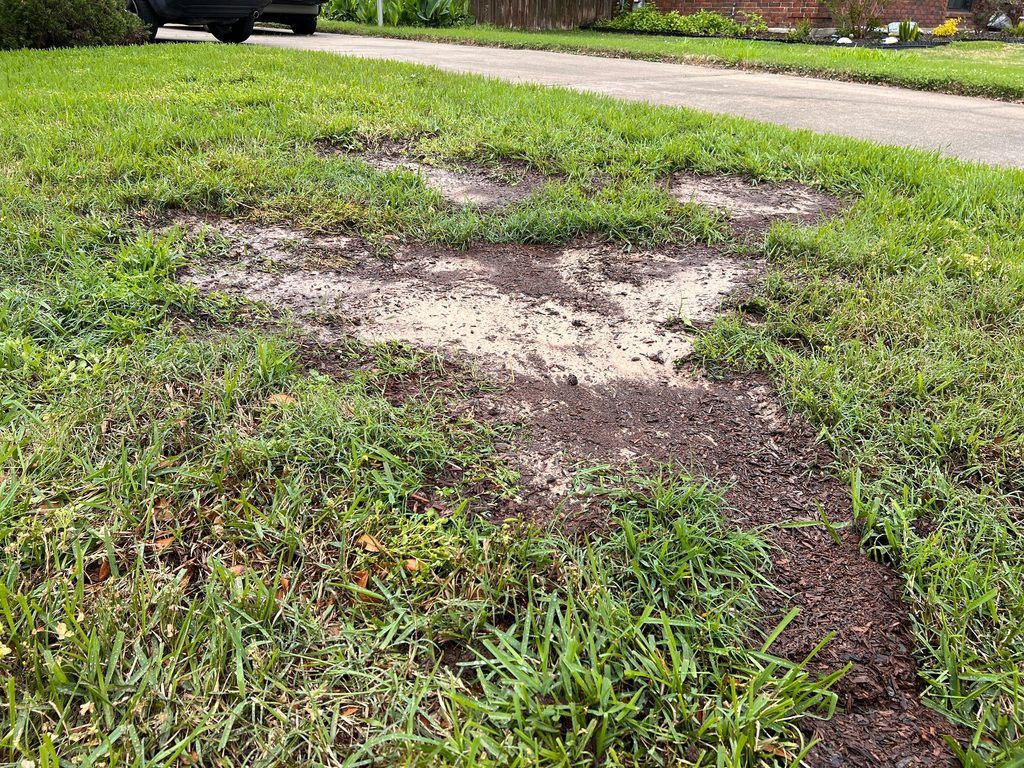 Prepared soil in a former stump location before installing new grass in a North Port lawn