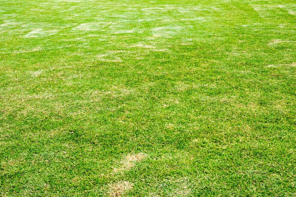 Irrigation dry spots North Port FL with sprinkler spray missing part of the lawn