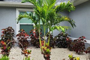 Michel's Landscaping | Professional Lawn Care and Landscaping in North Port, FL