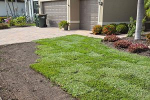 Michel's Landscaping | Professional Lawn Care and Landscaping in North Port, FL